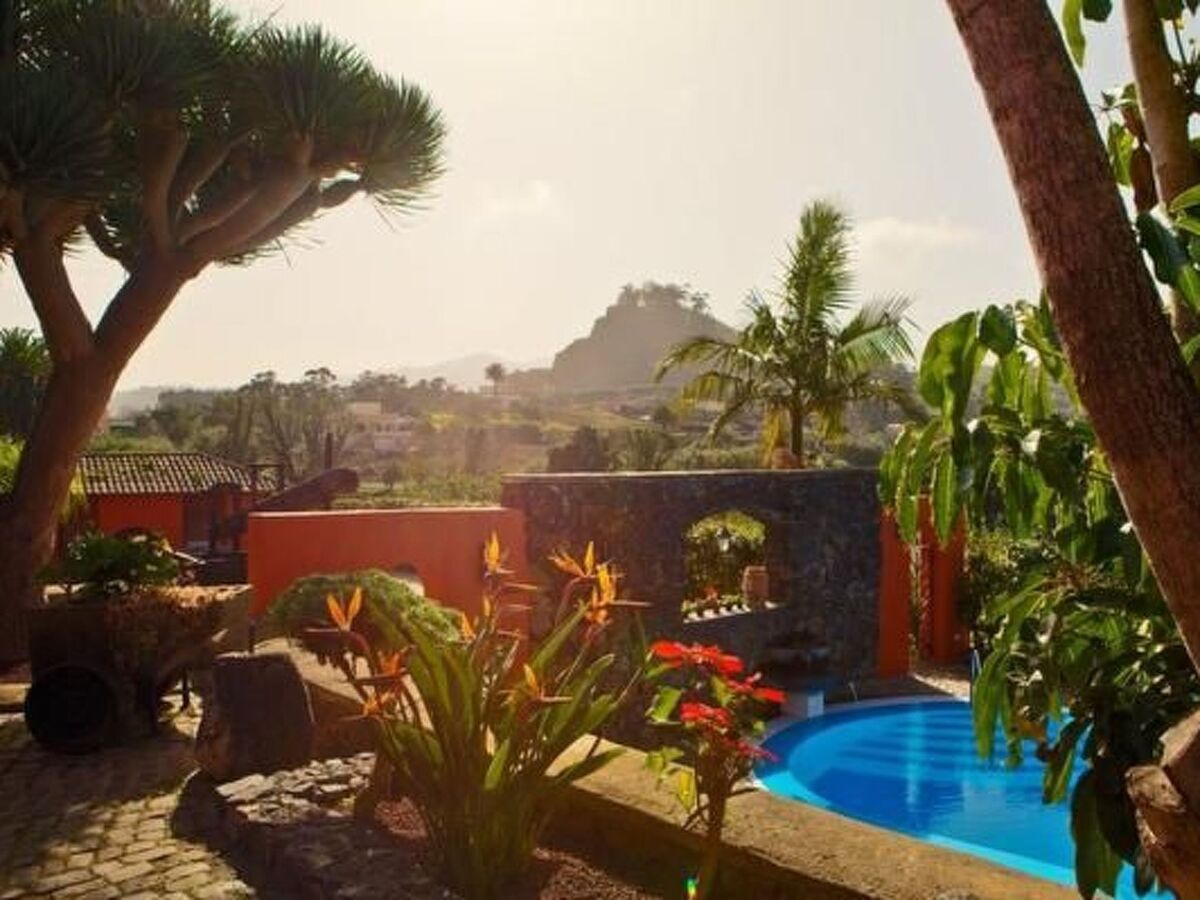 Finca Los Viñedos, maison 5 chambres avec piscine à Tacoronte - Photo 1