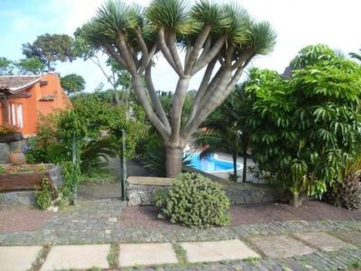 Finca Los Viñedos, maison 5 chambres avec piscine à Tacoronte - Photo 13