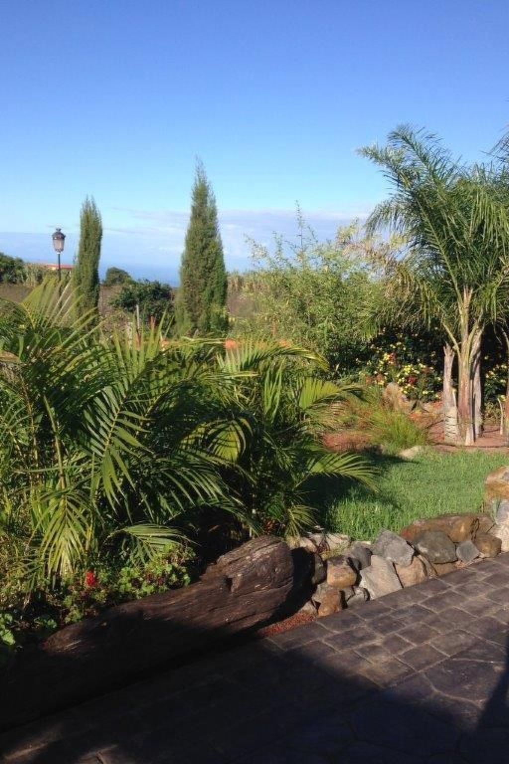 Finca Los Viñedos, maison 5 chambres avec piscine à Tacoronte - Photo 17