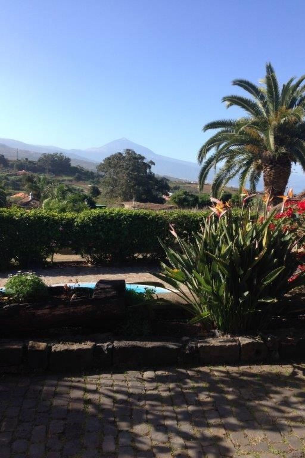 Finca Los Viñedos, maison 5 chambres avec piscine à Tacoronte - Photo 18