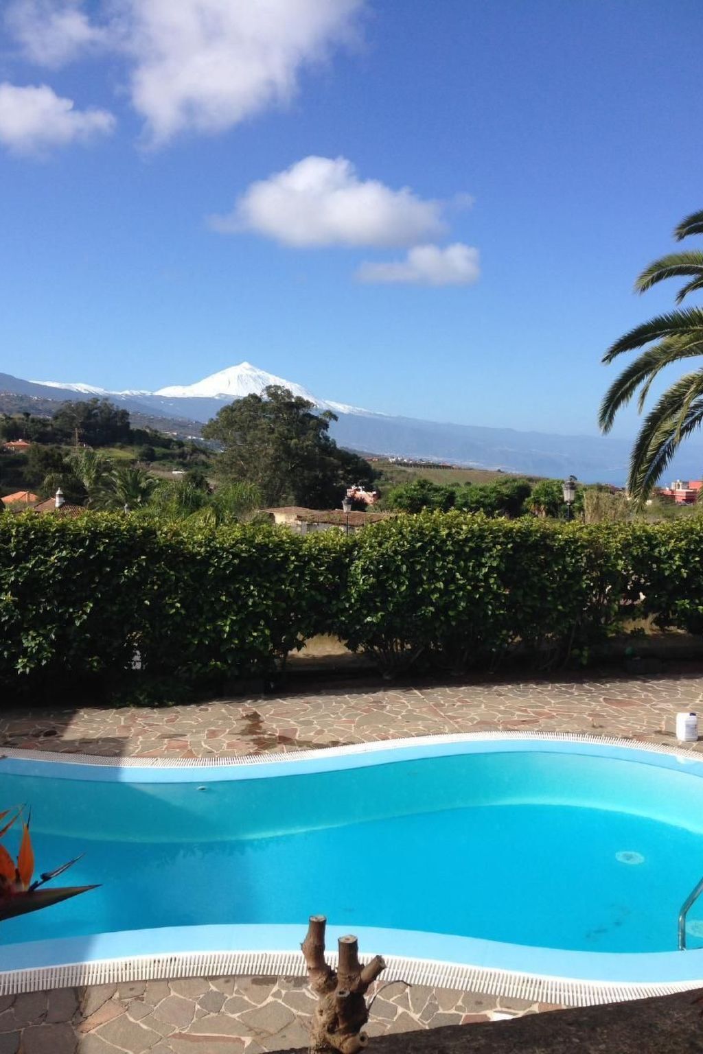 Finca Los Viñedos, maison 5 chambres avec piscine à Tacoronte - Photo 25