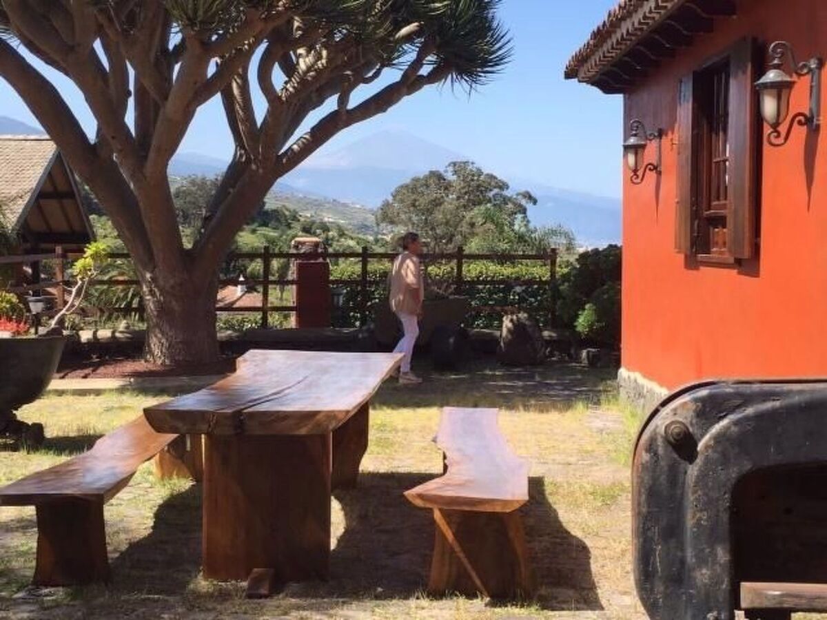 Finca Los Viñedos, maison 5 chambres avec piscine à Tacoronte - Photo 26