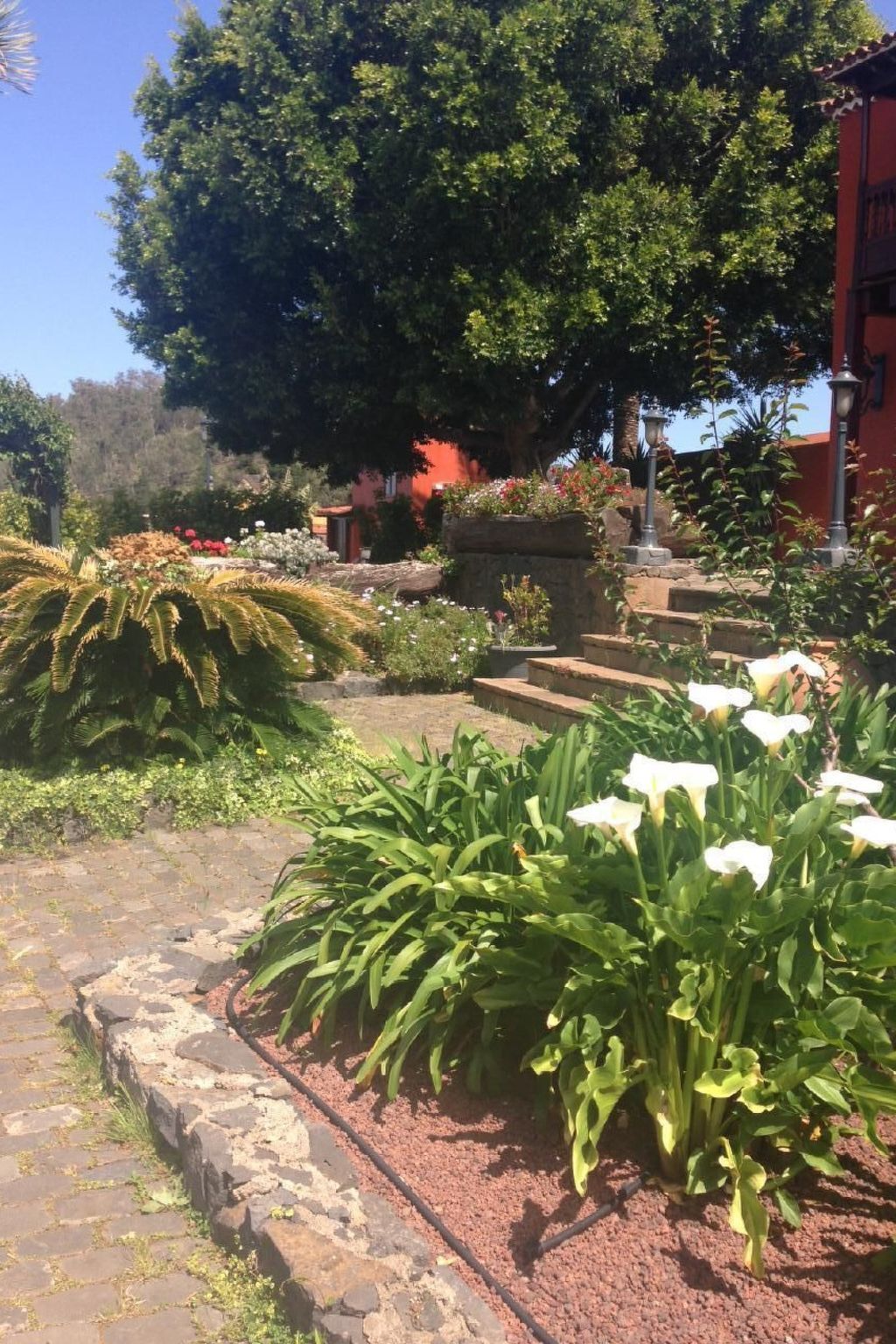 Finca Los Viñedos, maison 5 chambres avec piscine à Tacoronte - Photo 28