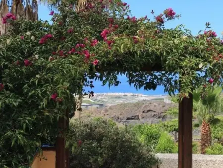 Maison 4 chambres avec piscine chauffée à Puerto De Santiago - Photo 30