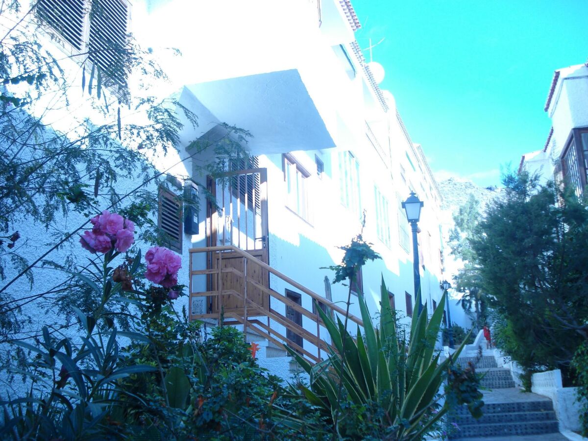 Appartement Nicole face aux falaises de Los Gigantes - Photo 16