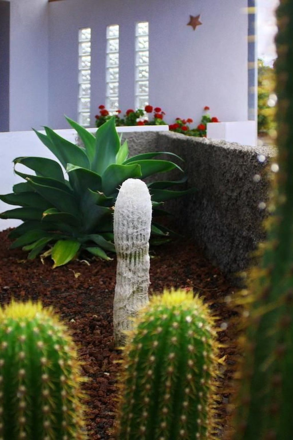 Casa Hélena – Maison avec piscine privée à Chío - Photo 16