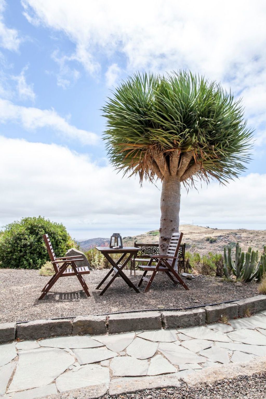 Maison troglodyte à 650 m d'altitude sur Gran Canaria - Photo 16