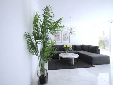 Bungalow 2 pers. Playa del Inglés, piscine & jardin : photo 28