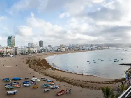 Appartement Las Canteras, vue mer et terrasse : photo 7