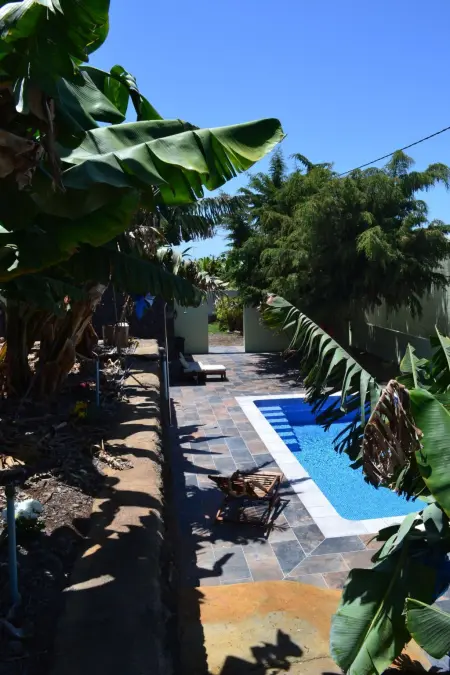 Ecofinca  mit privatem Pool, Maison 2 personnes à Tijarafe - Photo 19
