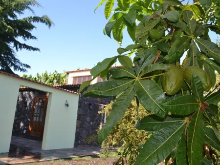 Ecofinca  mit privatem Pool, Maison 2 personnes à Tijarafe - Photo 41