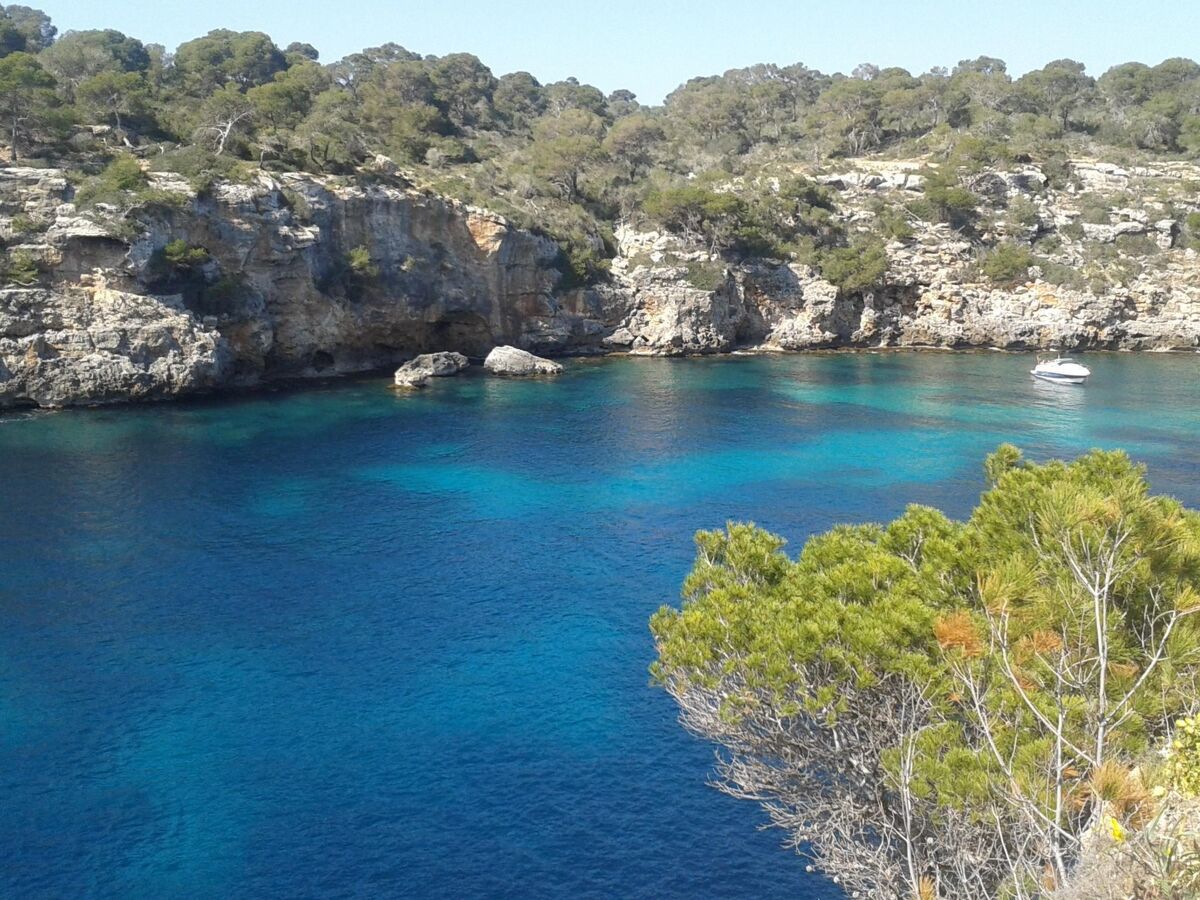 The Torrent's Observer – Apt 4 pers. à Cala Pi - Photo 17