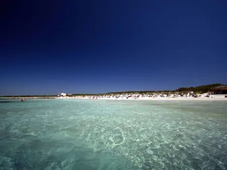 Maison méditerranéenne 2 ch à Cala Pi, piscine et plage : photo 5