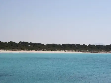 Maison méditerranéenne à Cala Pi, terrasse mer et piscine : photo 21