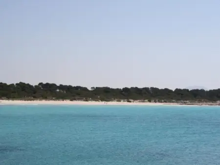 Maison méditerranéenne 2 ch avec piscine à Cala Pi : photo 25