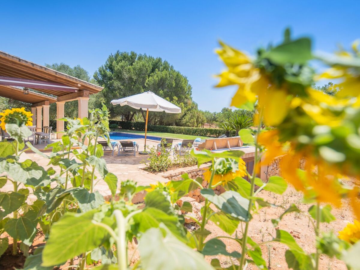 Villa Ses Quaranta – Maison 8 pers., piscine et 1,43 ha - Photo 9