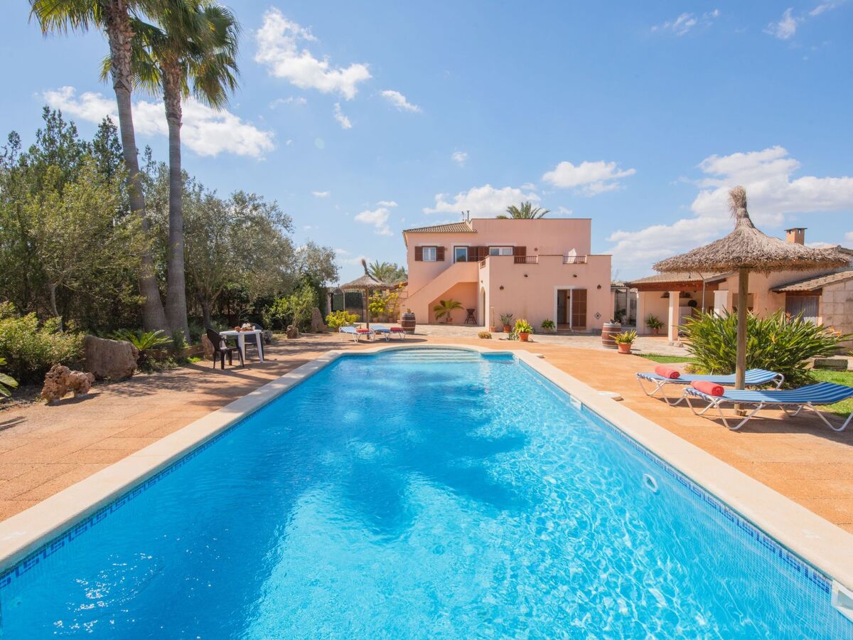 Finca Figueral Vicens – Maison 4 pers. avec piscine privée - Photo 3