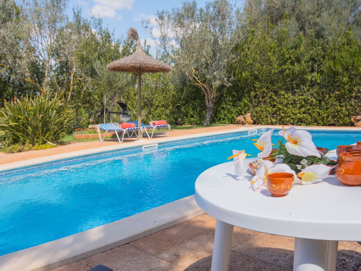 Finca Figueral Vicens – Maison 4 pers. avec piscine privée - Photo 5