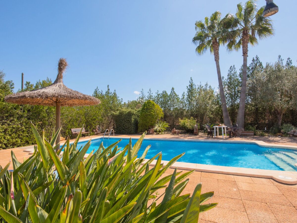 Finca Figueral Vicens – Maison 4 pers. avec piscine privée - Photo 6