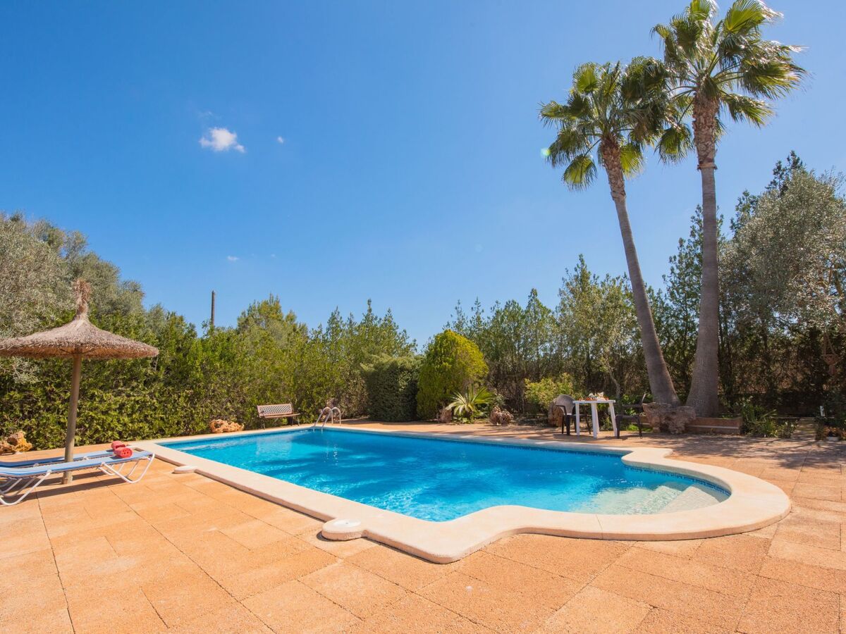 Finca Figueral Vicens – Maison 4 pers. avec piscine privée - Photo 7