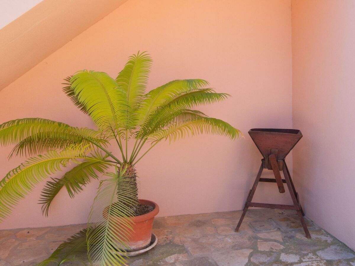 Finca Figueral Vicens – Maison 4 pers. avec piscine privée - Photo 14