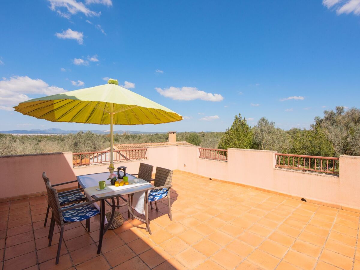 Finca Figueral Vicens – Maison 4 pers. avec piscine privée - Photo 15