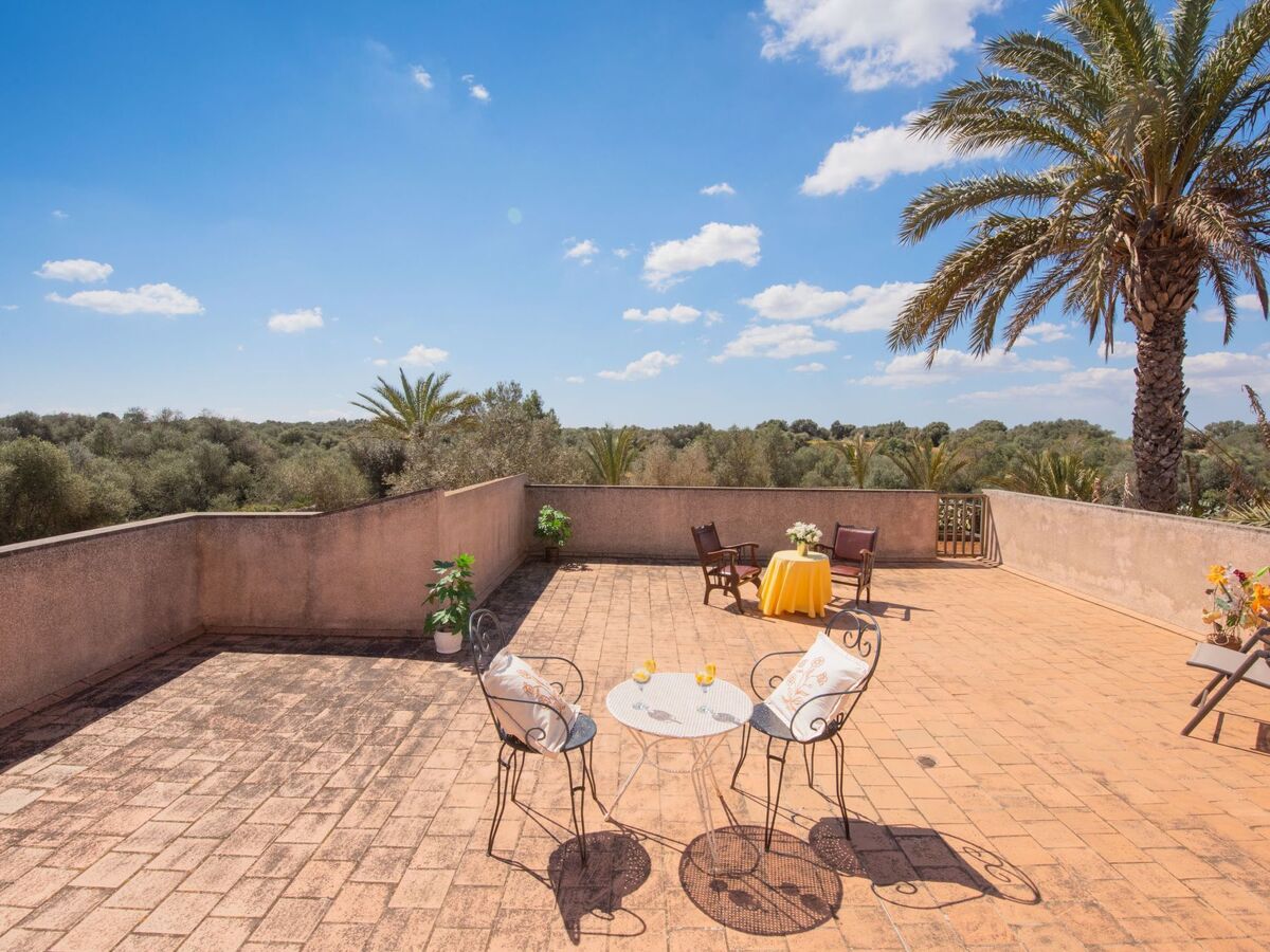 Finca Figueral Vicens – Maison 4 pers. avec piscine privée - Photo 17