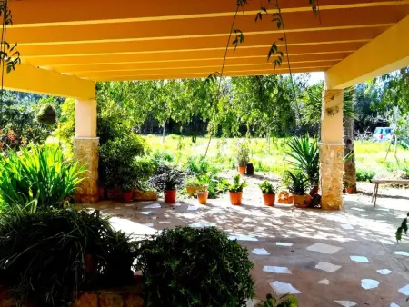Casa Cha-Cha – Finca avec piscine à Llucmajor : photo 20