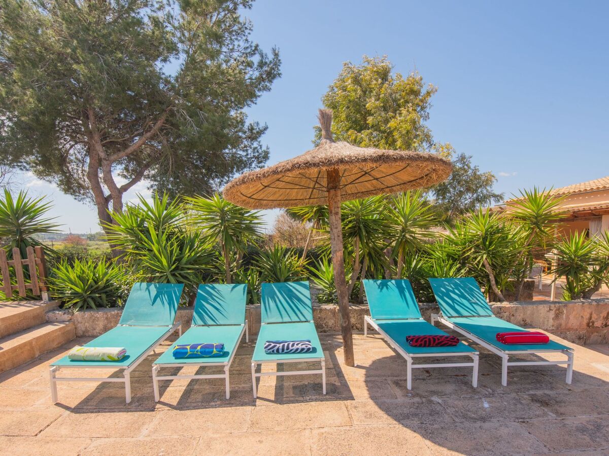 Finca Can Mateu – Maison 6 pers. avec piscine privée - Photo 5