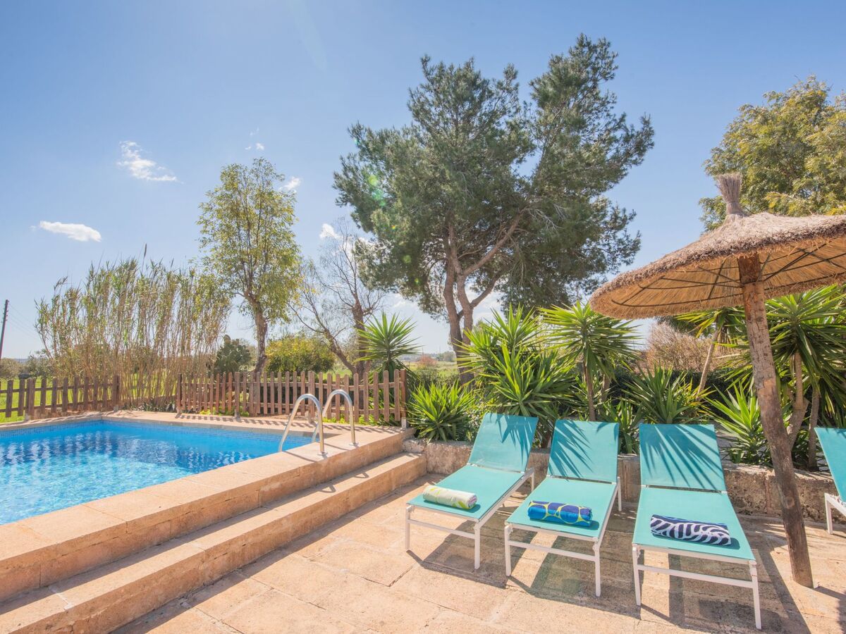 Finca Can Mateu – Maison 6 pers. avec piscine privée - Photo 7