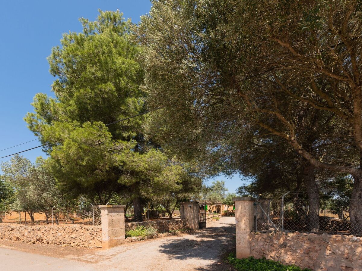Villa Es Tres Pins – Maison 6 pers. avec piscine privée - Photo 3