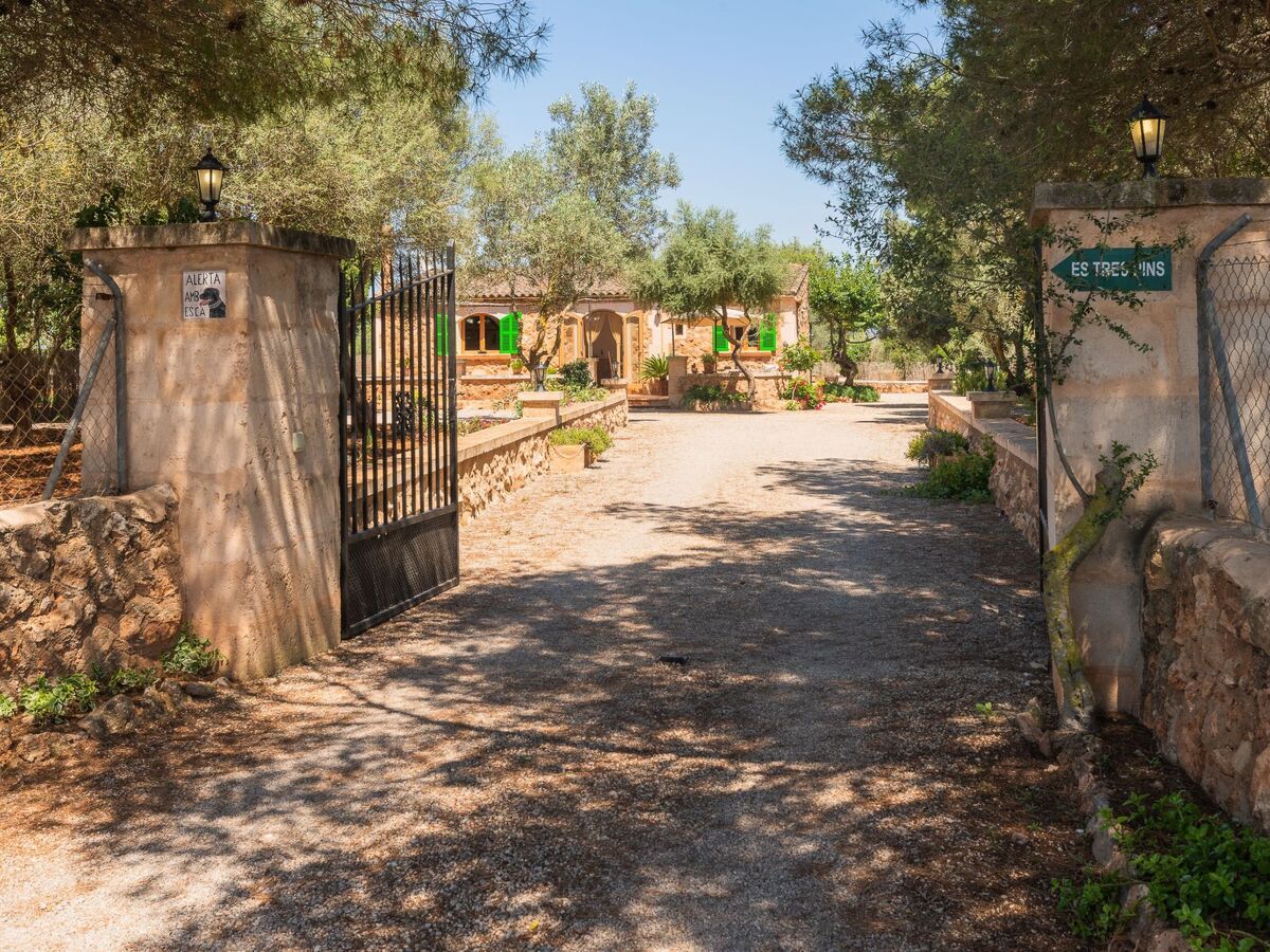 Villa Es Tres Pins – Maison 6 pers. avec piscine privée - Photo 4
