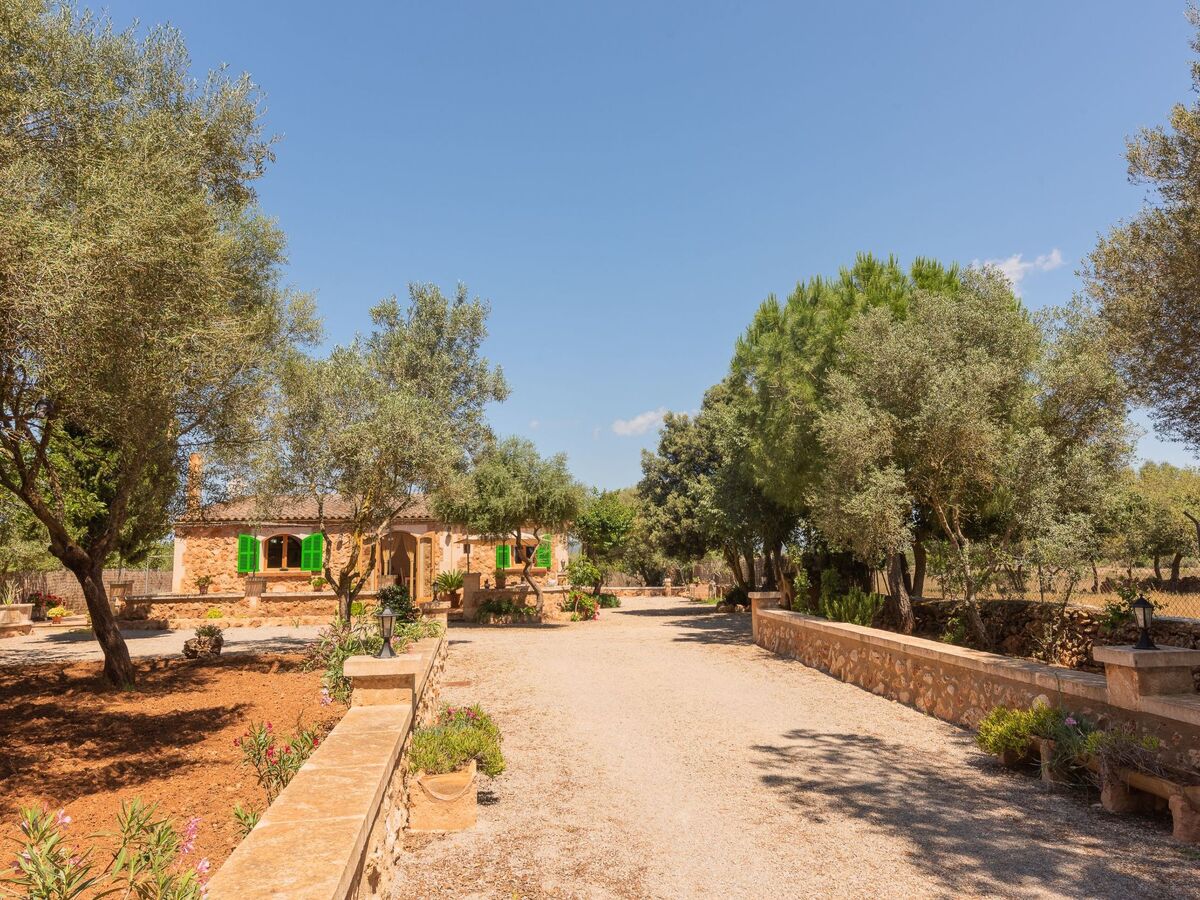 Villa Es Tres Pins – Maison 6 pers. avec piscine privée - Photo 5