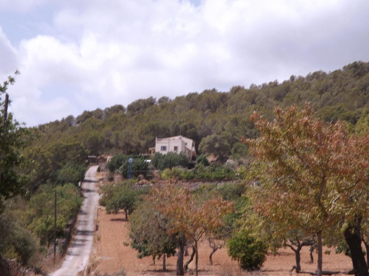 Finca Es Cau – 8 pers., piscine, vue mer à Cala Murada - Photo 41