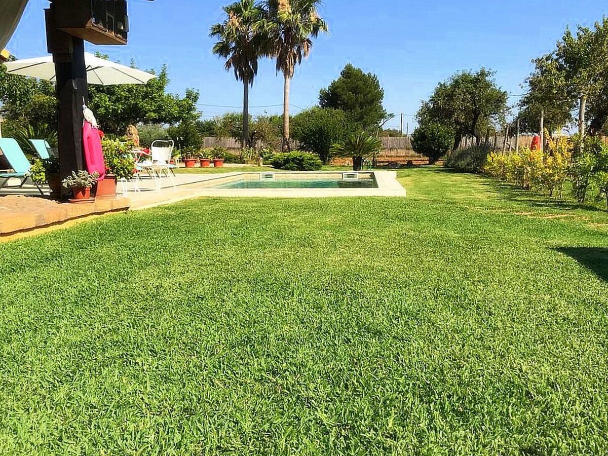 Finca Sa Tanca – Maison 6 pers. piscine privée à Inca - Photo 3