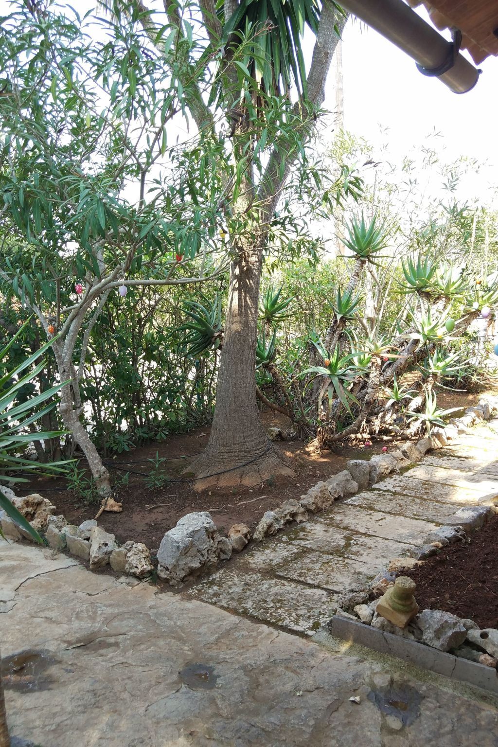 Casa Cinderella, maison 3 chambres avec jardin à Manacor - Photo 3