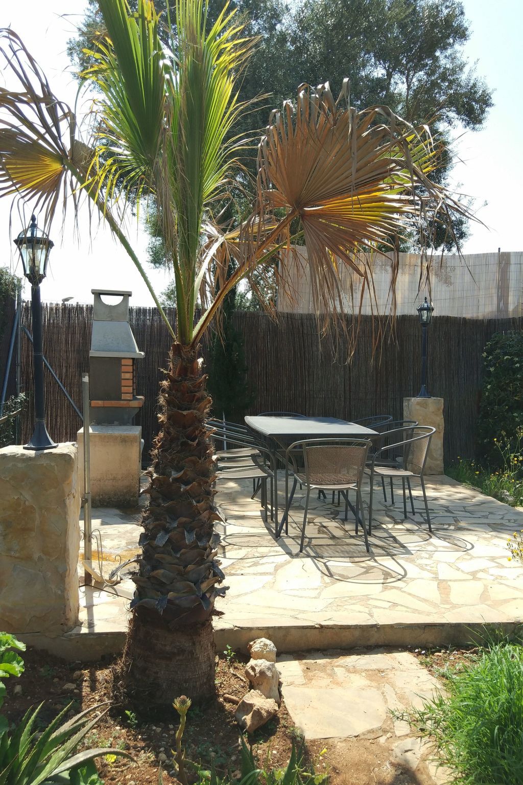 Casa Cinderella, maison 3 chambres avec jardin à Manacor - Photo 33