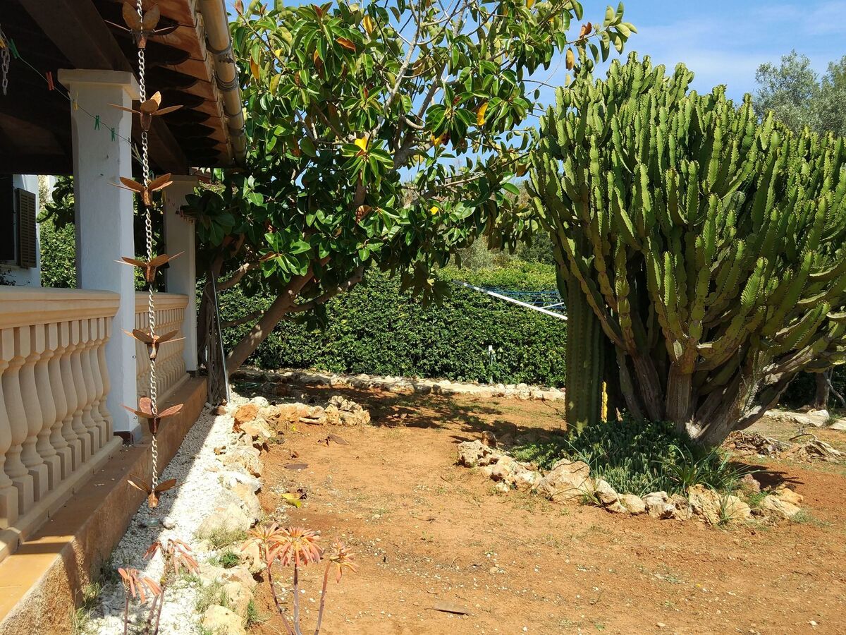 Casa Cinderella, maison 3 chambres avec jardin à Manacor - Photo 36