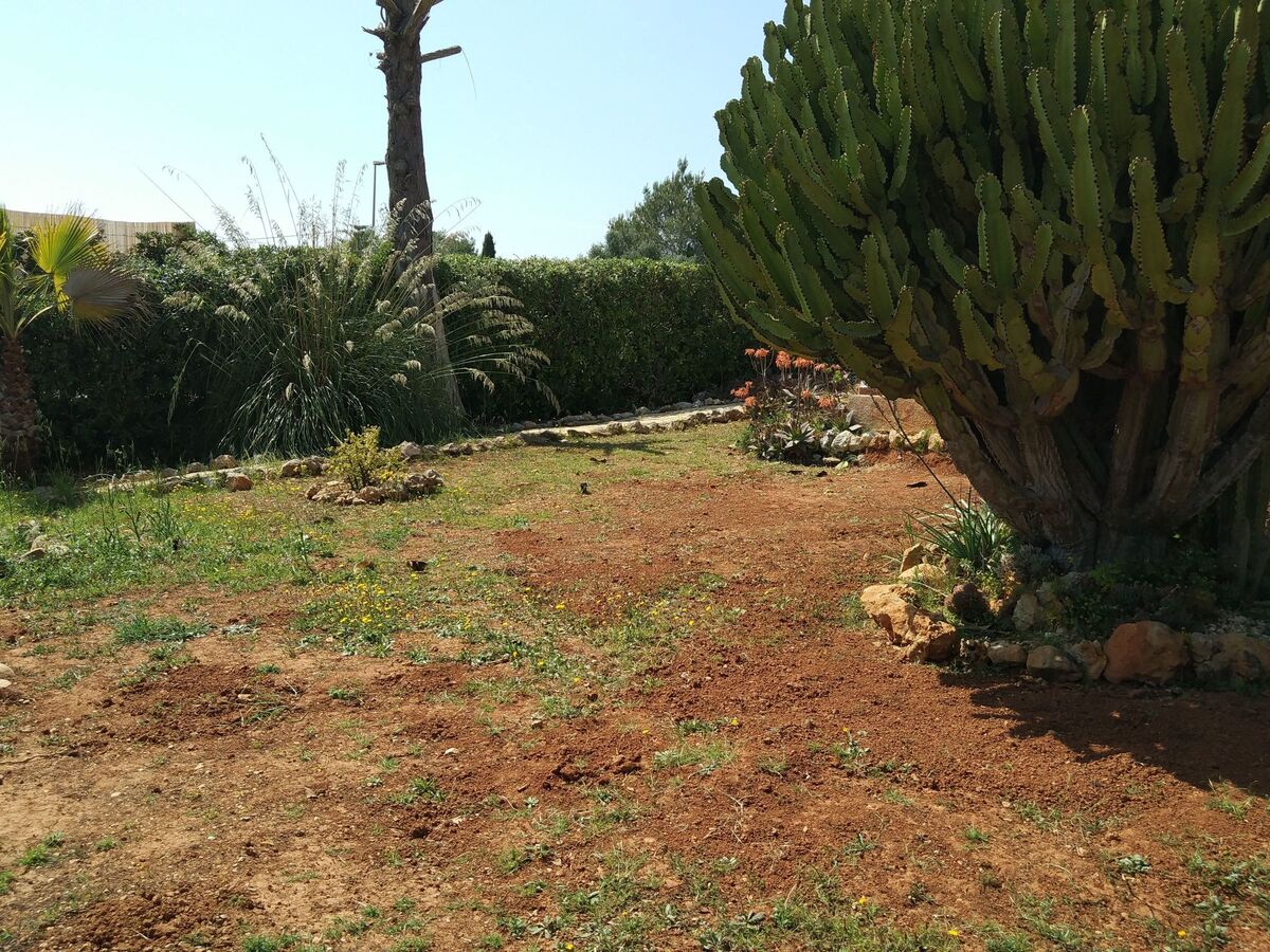 Casa Cinderella, maison 3 chambres avec jardin à Manacor - Photo 37
