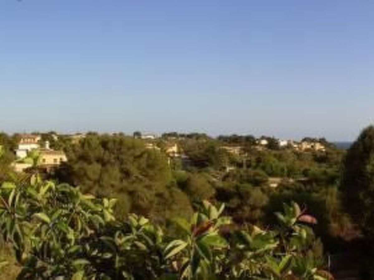 Casa Cinderella, maison 3 chambres avec jardin à Manacor - Photo 45