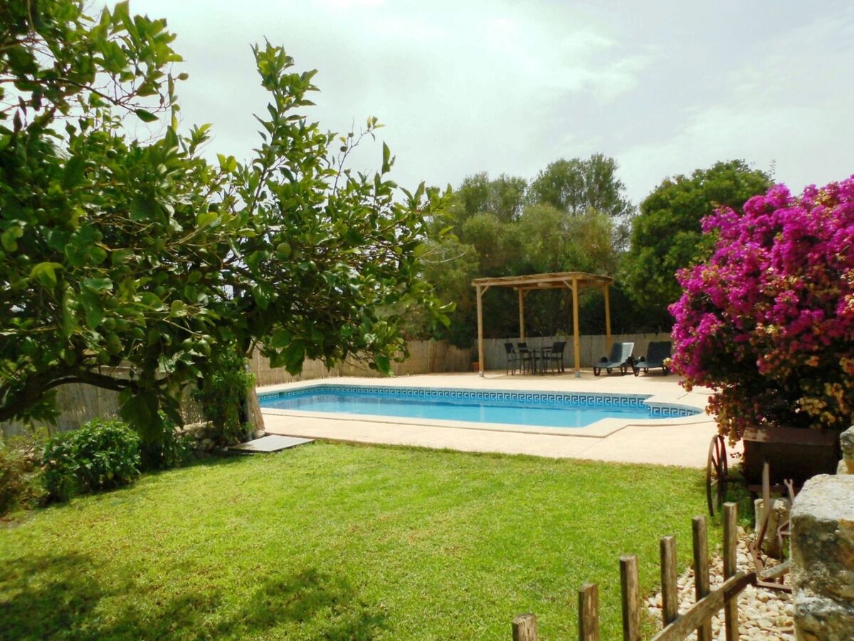 Ses Comes de son Cladera – Maison piscine Manacor - Photo 4