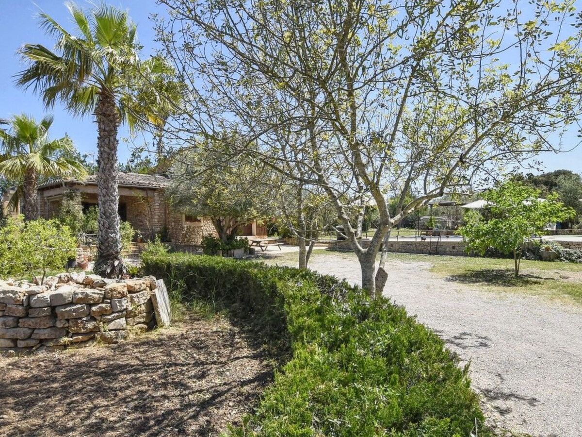 Maison de campagne 6 pers. à Manacor, piscine 9×4,5m - Photo 14