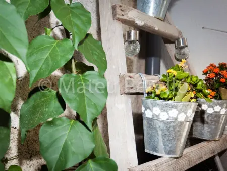 Sa Lluna Blava – Maison de charme avec piscine à Santa Margalida : photo 22