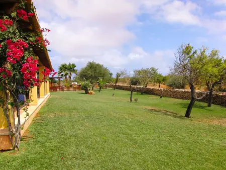 Villa Santa Eulalia : 5 chambres, piscine et animaux de ferme : photo 31