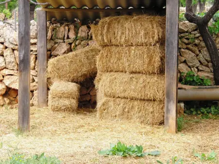 Villa Santa Eulalia : 5 chambres, piscine et animaux de ferme : photo 36