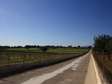 Finca avec piscine privée à Santa Margalida : photo 18