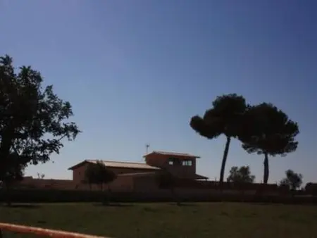 Finca avec piscine privée à Santa Margalida : photo 20