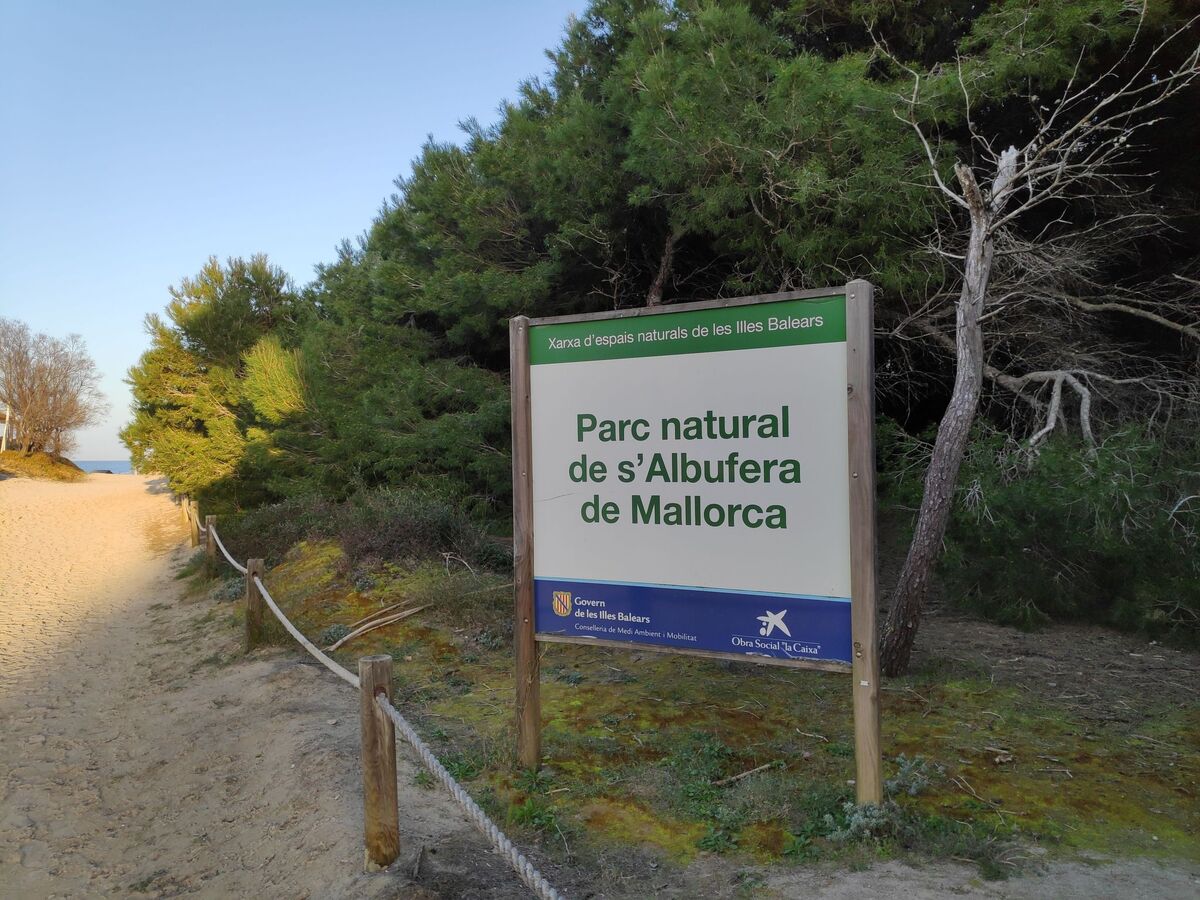 Ca'n Soler, maison 6 pers. à 300 m de la plage - Photo 45