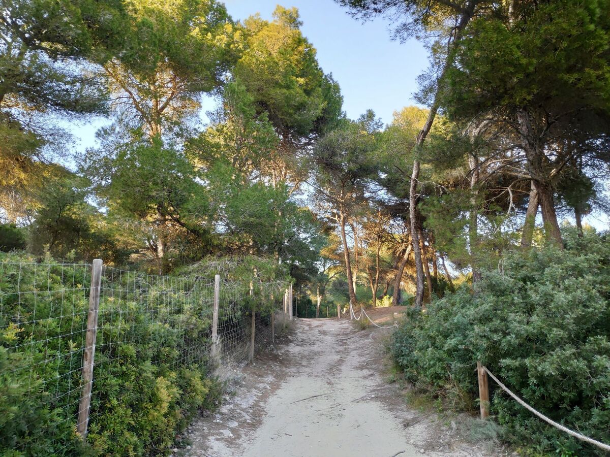 Ca'n Soler, maison 6 pers. à 300 m de la plage - Photo 46