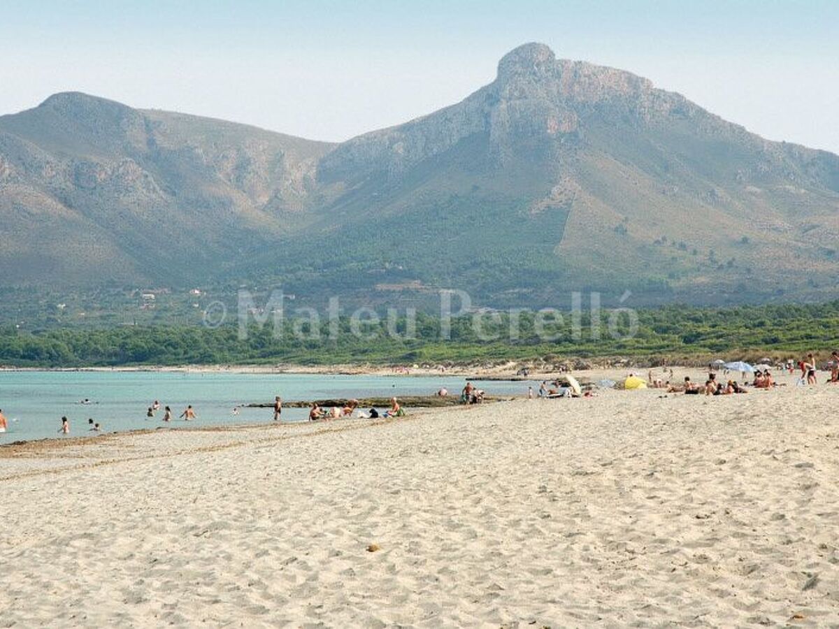Casa Calma, appartement 2 chambres vue baie d'Alcudia - Photo 20